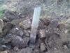 DSC00433.JPG