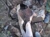 DSC00436.JPG