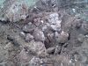 DSC00440.JPG