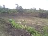 DSC00789.JPG