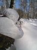 DSC00212.JPG