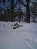 DSC00213.JPG